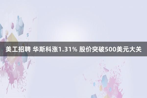 美工招聘 华斯科涨1.31% 股价突破500美元大关